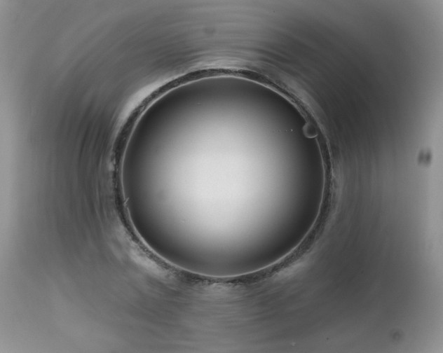 X0000112460779200908171202