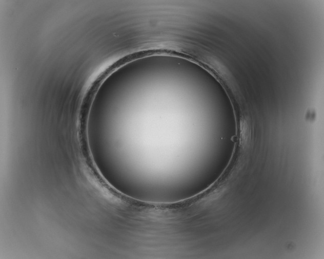 X0000112460780200908171202