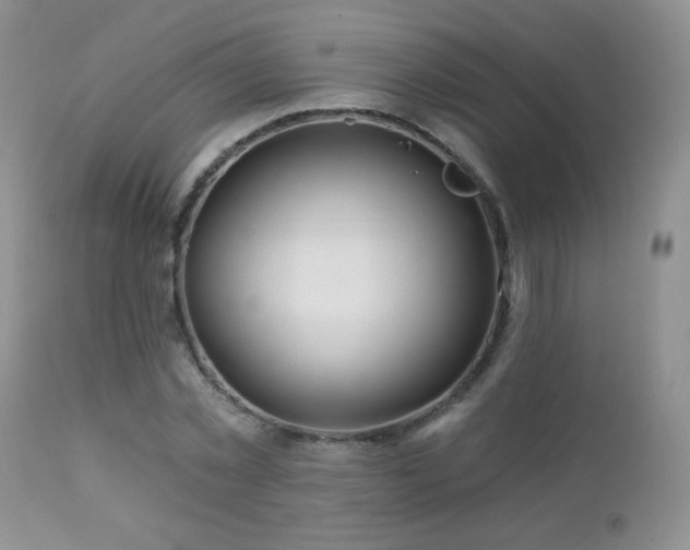 X0000112460781200908171202