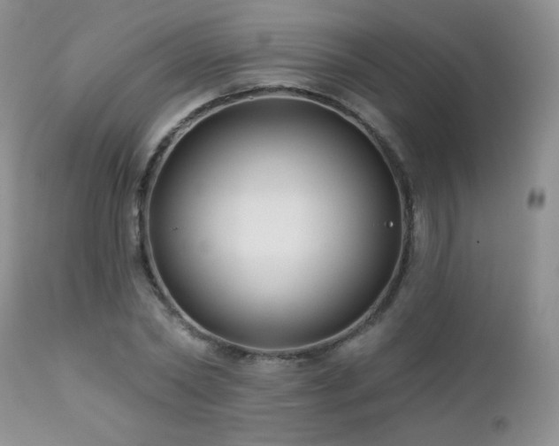 X0000112460782200908171202