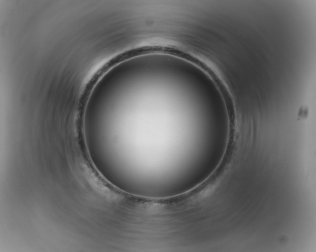 X0000112460783200908171202