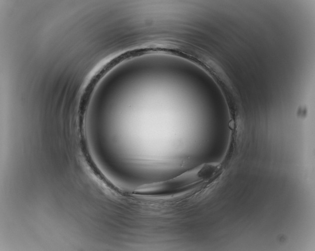 X0000112460784200908171202