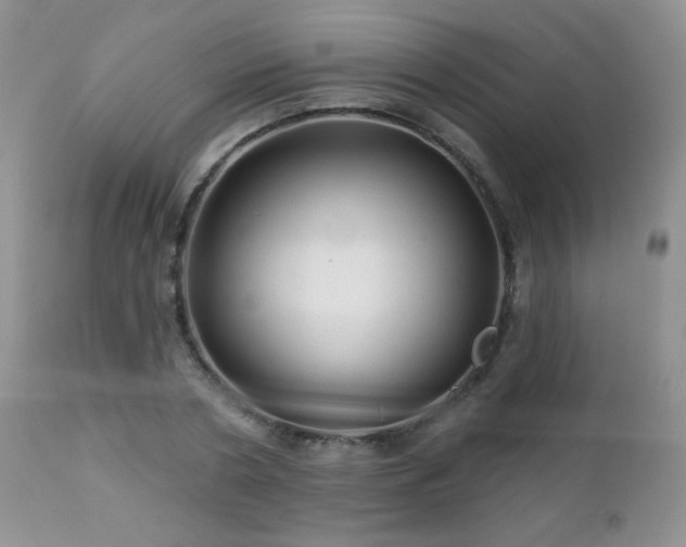 X0000112460786200908171202