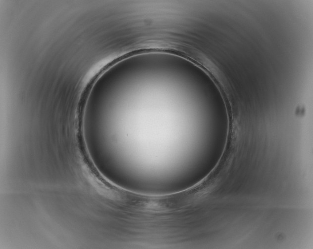 X0000112460787200908171202