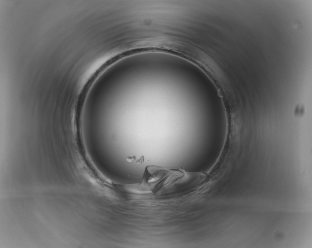 X0000112460788200908171202