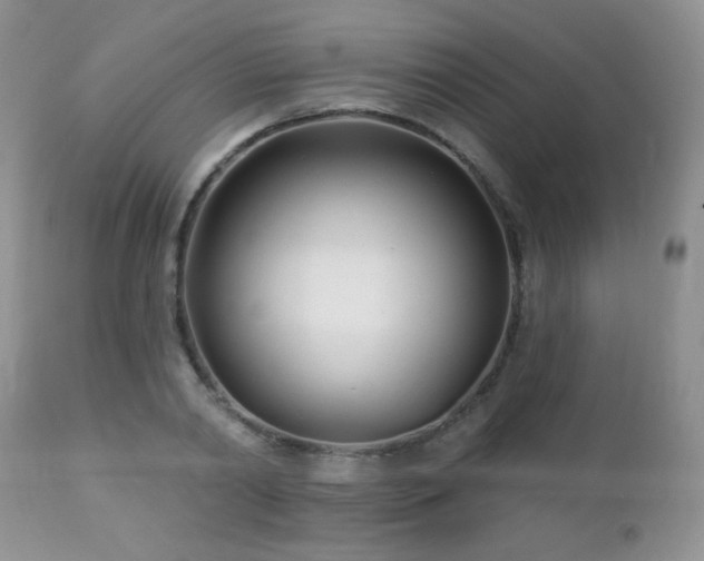 X0000112460790200908171202