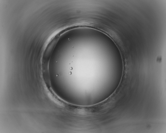 X0000112460792200908171202