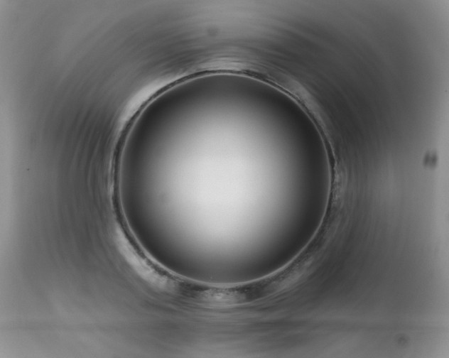 X0000112460795200908171202