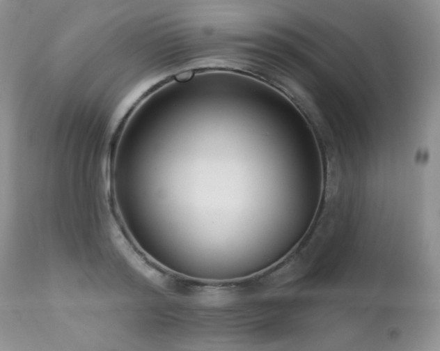 X0000112460796200908171202