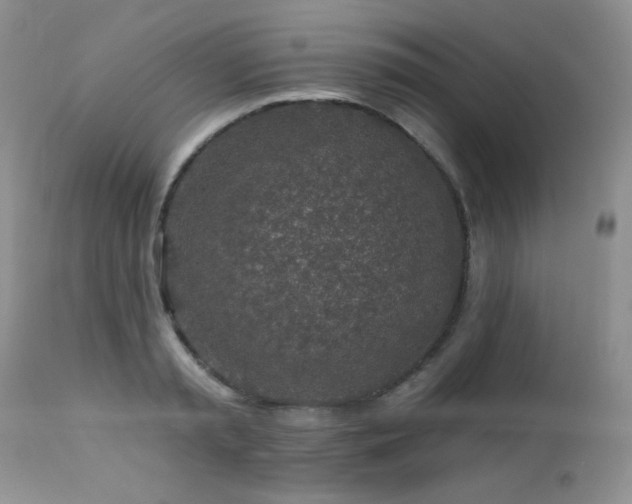 X0000112460797200908171202