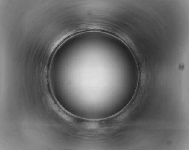 X0000112460798200908171202