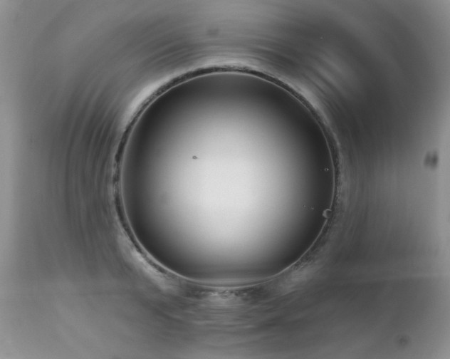 X0000112460799200908171202