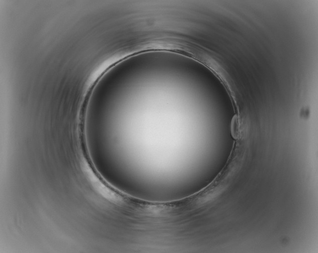 X0000112460803200908171202