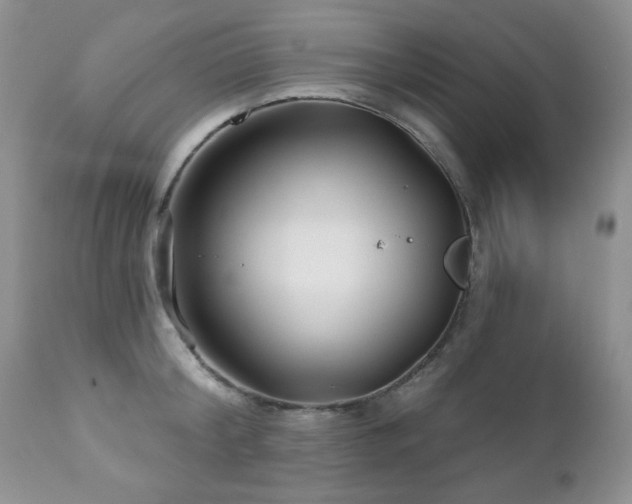 X0000112460804200908171202