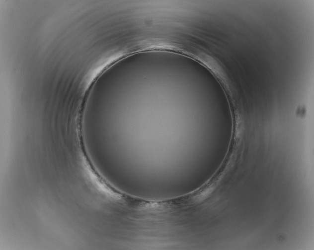 X0000112460806200908171202