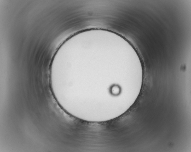 X0000112460807200908171202