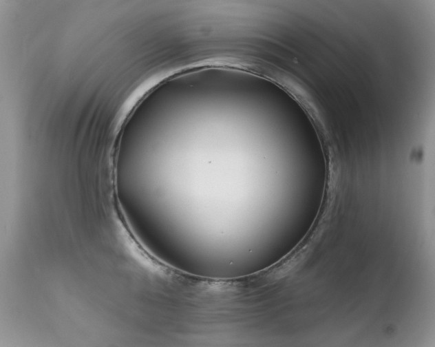 X0000112460808200908171202