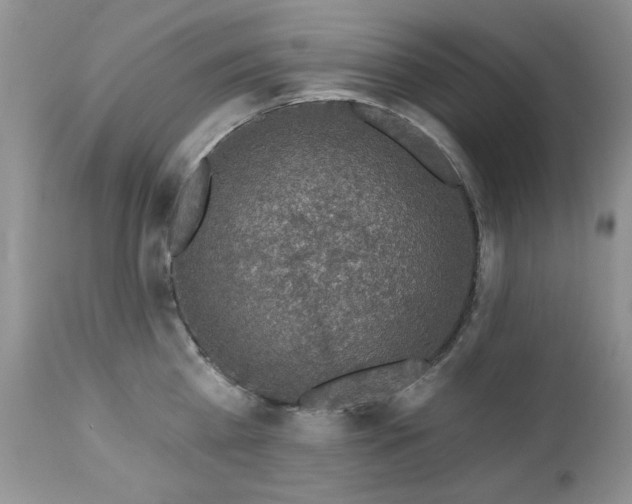 X0000112460809200908171201