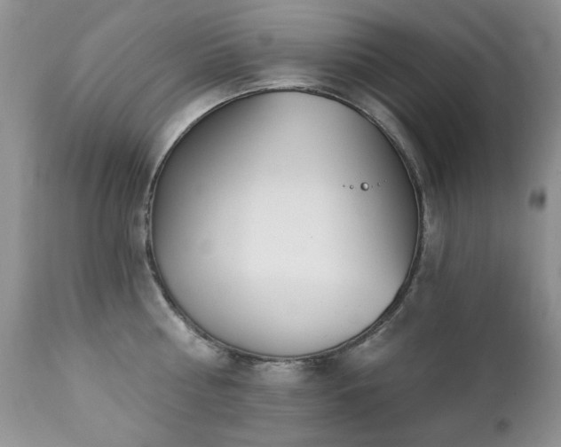 X0000112460810200908171201