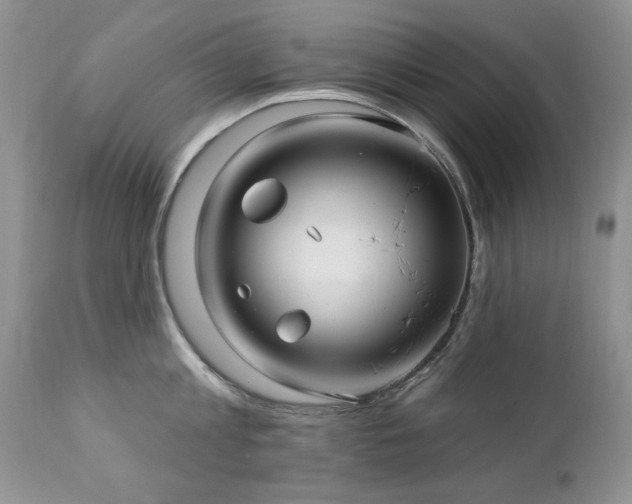 X0000112460813200908171201