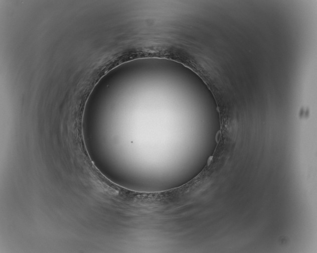 X0000112460817200908171201