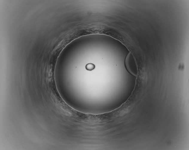 X0000112460818200908171201