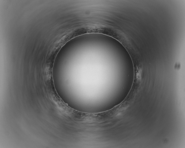 X0000112460819200908171201