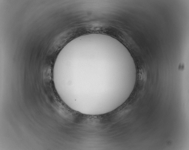 X0000112460820200908171201