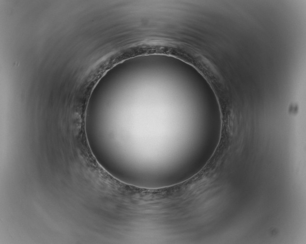 X0000112460821200908171201