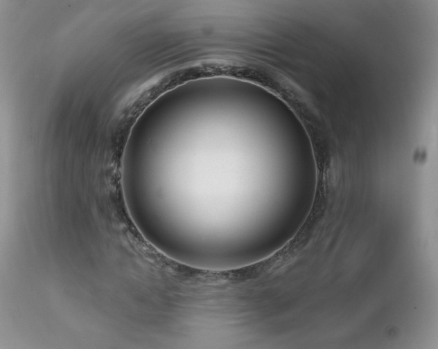 X0000112460822200908171201