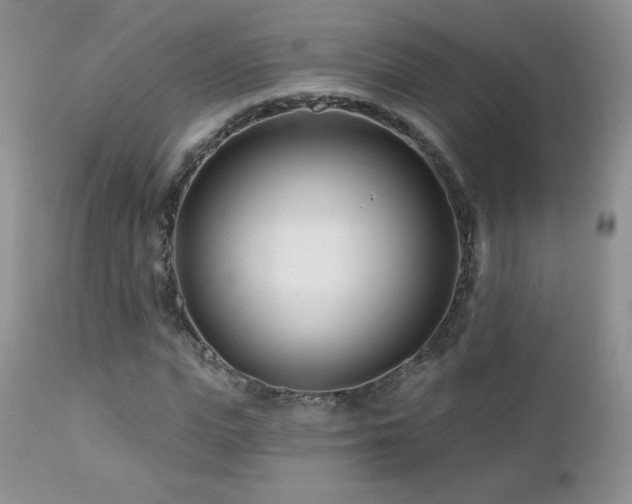 X0000112460823200908171201