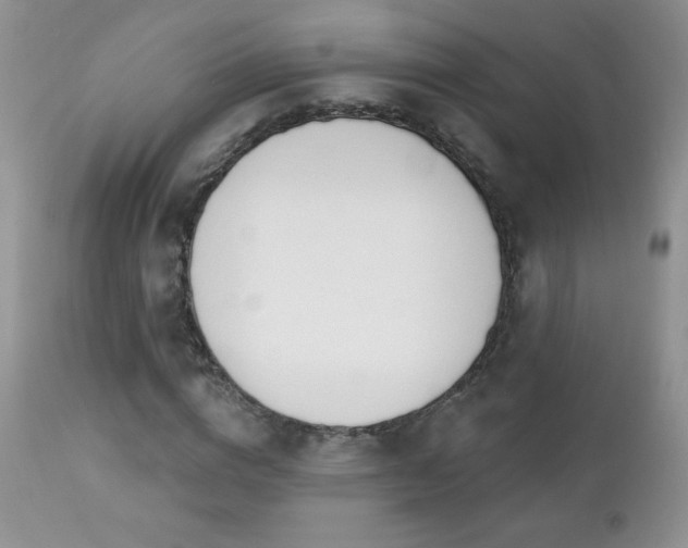 X0000112460824200908171201