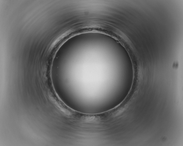 X0000112460826200908171201