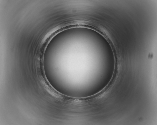 X0000112460827200908171201