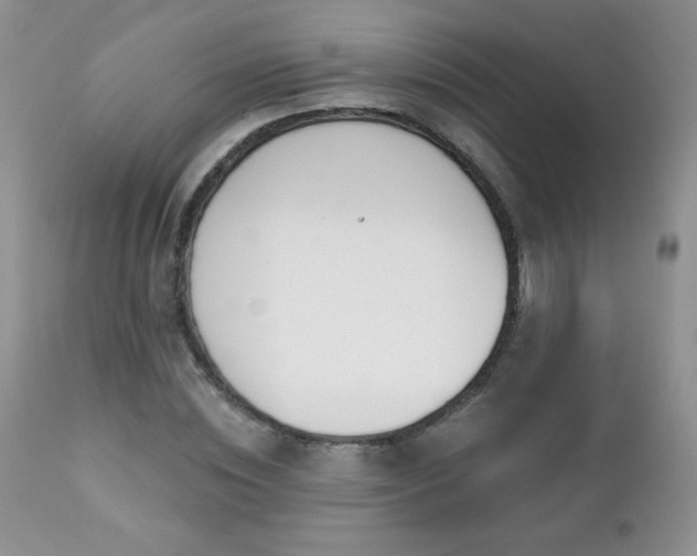X0000112460828200908171201