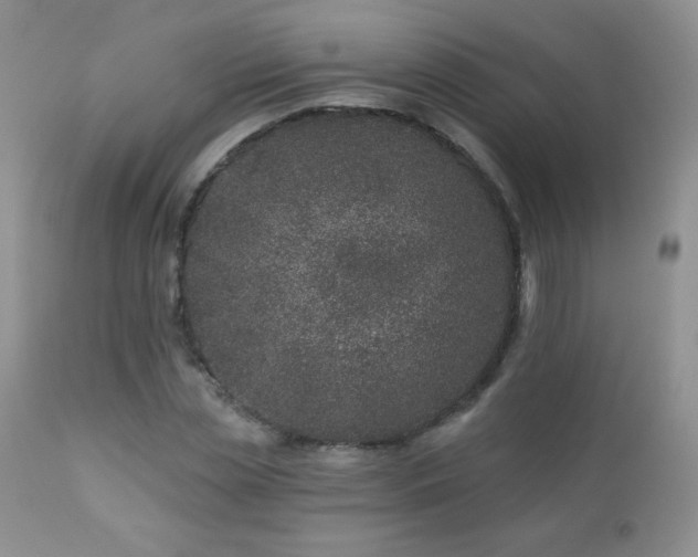 X0000112460829200908171201
