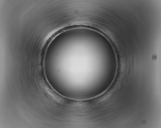 X0000112460830200908171201