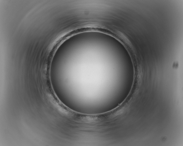 X0000112460831200908171201