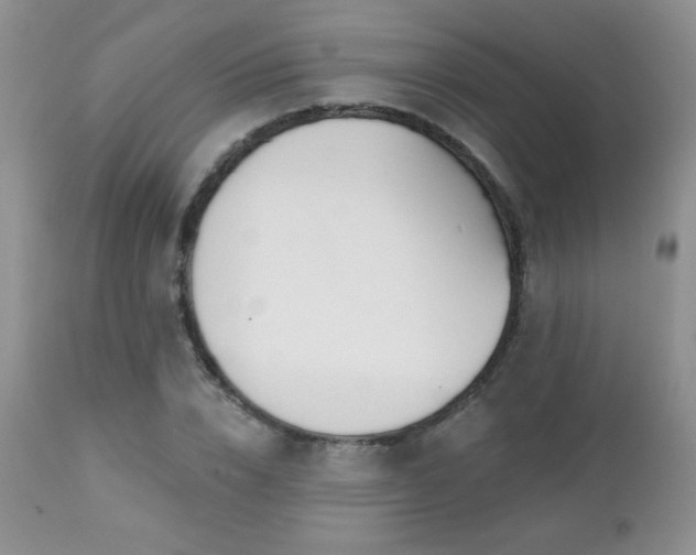 X0000112460832200908171201