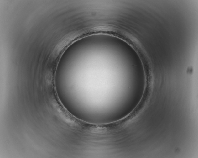 X0000112460833200908171201
