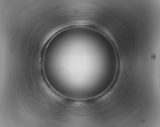 X0000112460835200908171201