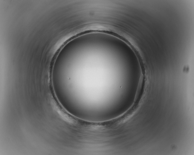 X0000112460837200908171201