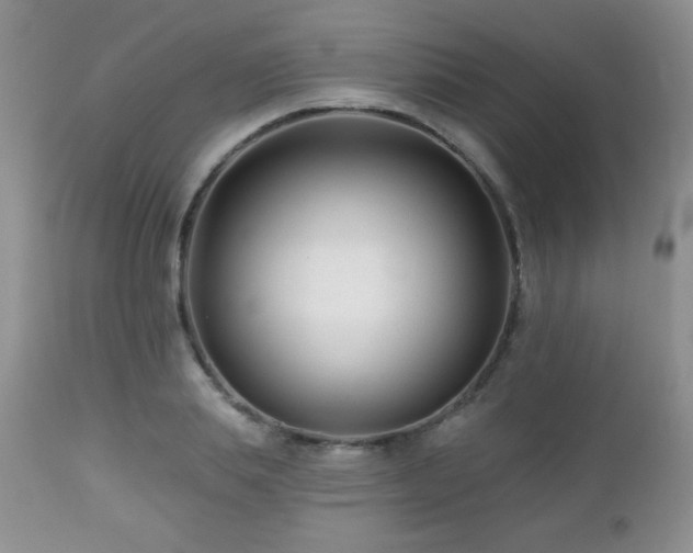 X0000112460839200908171201