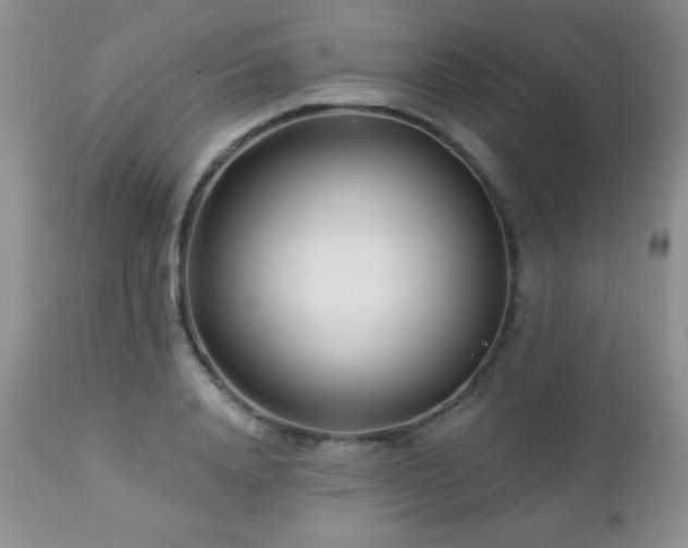 X0000112460840200908171201