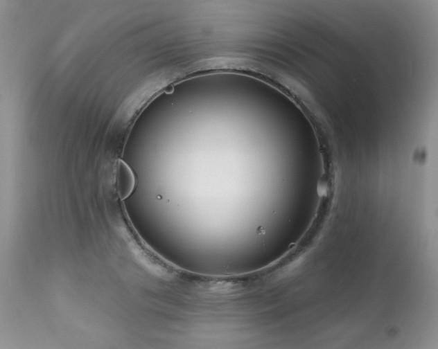 X0000112460841200908171201