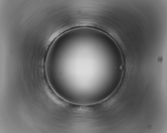 X0000112460842200908171201