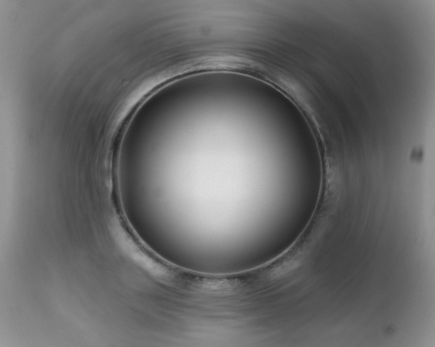 X0000112460843200908171201