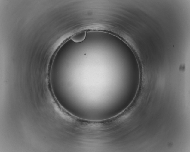 X0000112460845200908171201