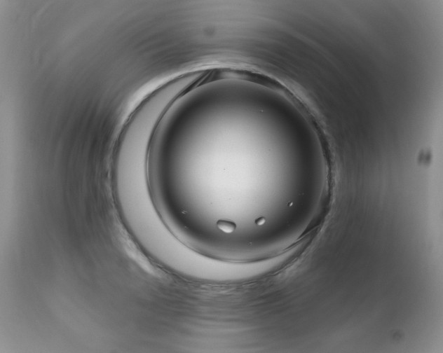 X0000112460846200908171201