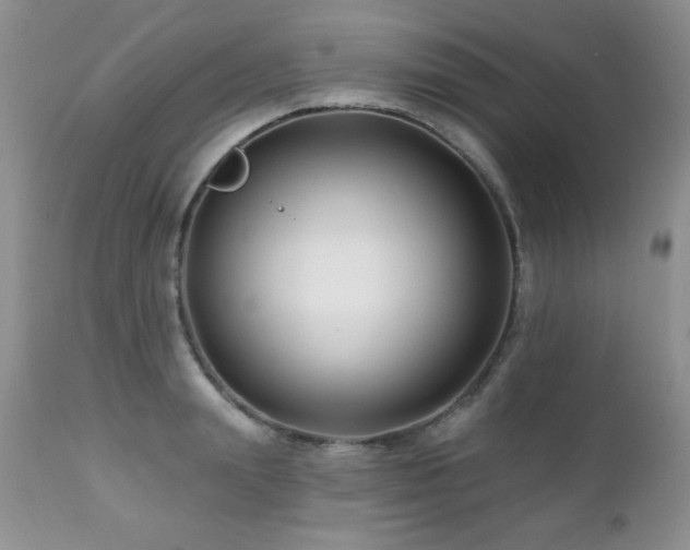 X0000112460847200908171201